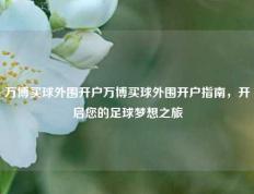 万博买球外围开户万博买球外围开户指南，开启您的足球梦想之旅