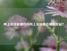 网上买球能赚钱吗网上买球能否赚取收益？