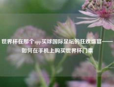 世界杯在那个app买球国际足坛的狂欢盛宴——如何在手机上购买世界杯门票
