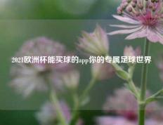 2021欧洲杯能买球的app你的专属足球世界