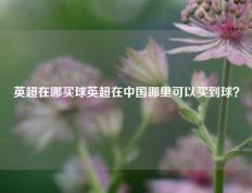 英超在哪买球英超在中国哪里可以买到球？