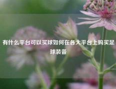 有什么平台可以买球如何在各大平台上购买足球装备