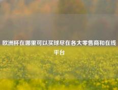 欧洲杯在哪里可以买球尽在各大零售商和在线平台