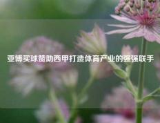 亚博买球赞助西甲打造体育产业的强强联手