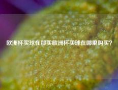 欧洲杯买球在那买欧洲杯买球在哪里购买？