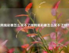 网易彩票怎么买不了球网易彩票怎么买不了球？