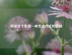买球这个东西一种生活方式的选择