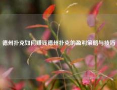 德州扑克如何赚钱德州扑克的盈利策略与技巧