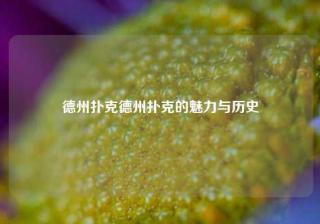 德州扑克德州扑克的魅力与历史