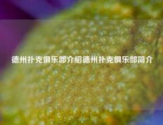 德州扑克俱乐部介绍德州扑克俱乐部简介