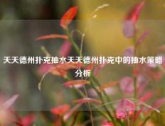 天天德州扑克抽水天天德州扑克中的抽水策略分析