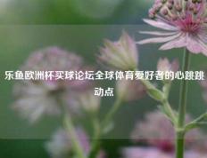 乐鱼欧洲杯买球论坛全球体育爱好者的心跳跳动点