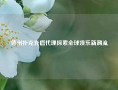 德州扑克充值代理探索全球娱乐新潮流