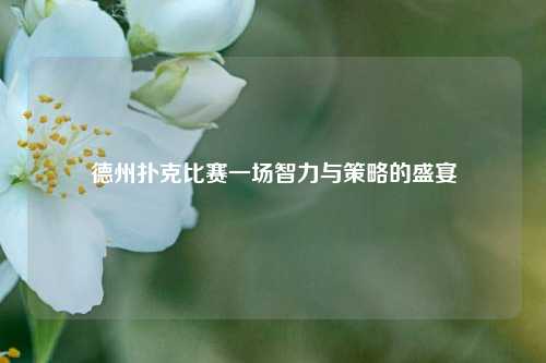 德州扑克比赛一场智力与策略的盛宴