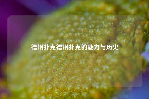 德州扑克德州扑克的魅力与历史