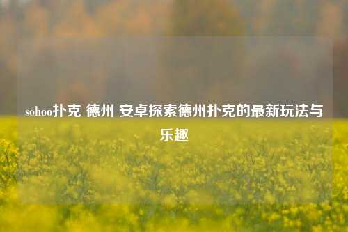 sohoo扑克 德州 安卓探索德州扑克的最新玩法与乐趣