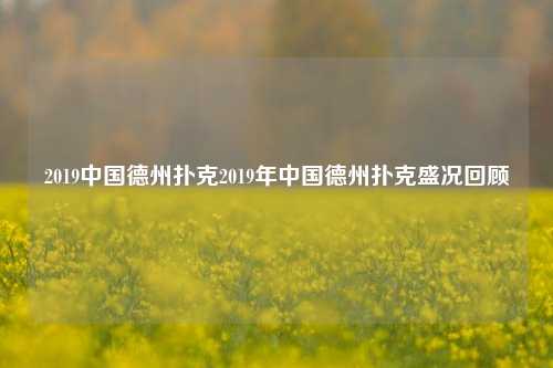 2019中国德州扑克2019年中国德州扑克盛况回顾