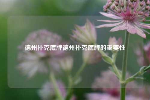 德州扑克底牌德州扑克底牌的重要性