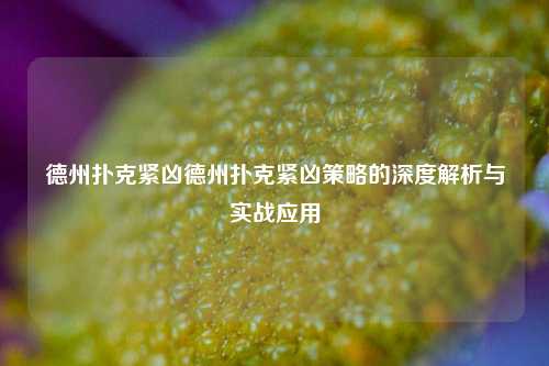 德州扑克紧凶德州扑克紧凶策略的深度解析与实战应用