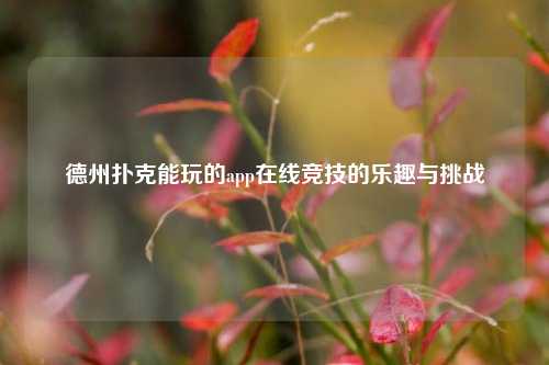 德州扑克能玩的app在线竞技的乐趣与挑战