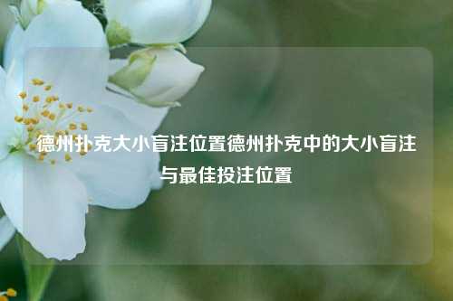 德州扑克大小盲注位置德州扑克中的大小盲注与最佳投注位置