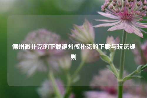 德州微扑克的下载德州微扑克的下载与玩法规则