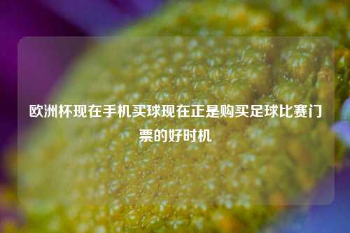 欧洲杯现在手机买球现在正是购买足球比赛门票的好时机