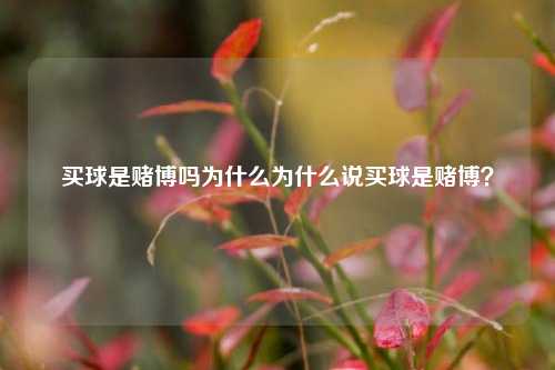 买球是赌博吗为什么为什么说买球是赌博？