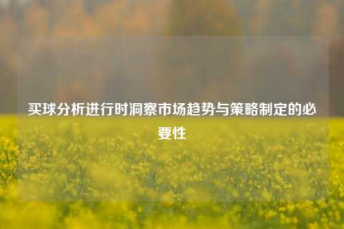 买球分析进行时洞察市场趋势与策略制定的必要性