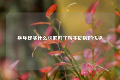 乒乓球买什么牌的好了解不同牌的优劣