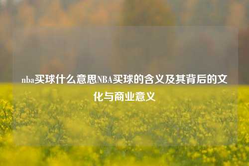 nba买球什么意思NBA买球的含义及其背后的文化与商业意义