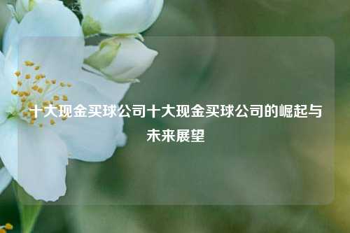 十大现金买球公司十大现金买球公司的崛起与未来展望