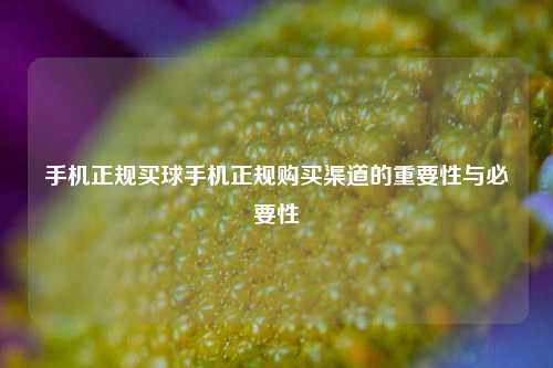 手机正规买球手机正规购买渠道的重要性与必要性