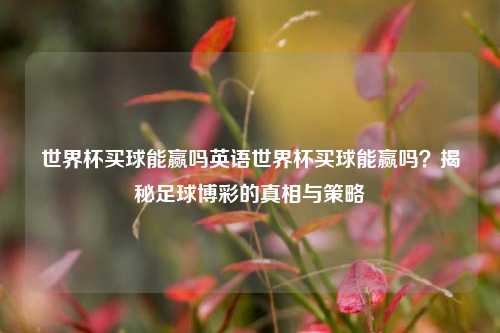 世界杯买球能赢吗英语世界杯买球能赢吗？揭秘足球博彩的真相与策略