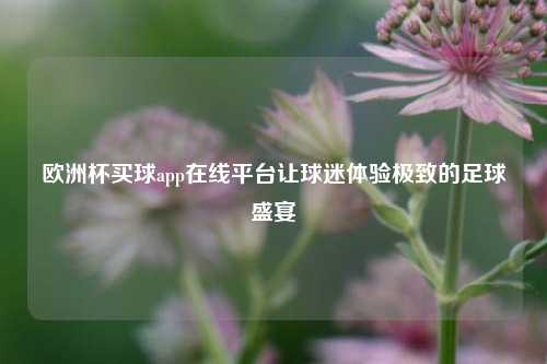 欧洲杯买球app在线平台让球迷体验极致的足球盛宴