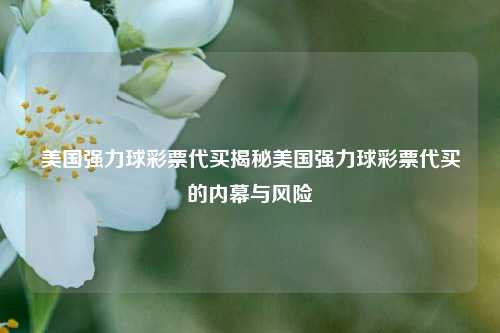 美国强力球彩票代买揭秘美国强力球彩票代买的内幕与风险