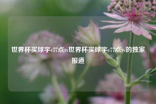 世界杯买球宇c77点tv世界杯买球宇c77点tv的独家报道