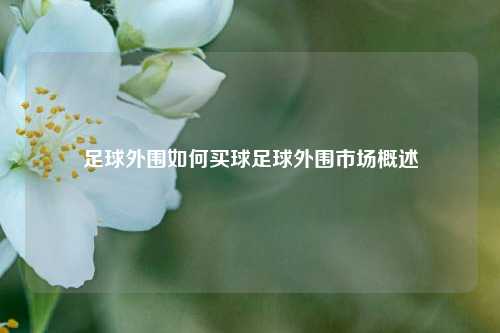 足球外围如何买球足球外围市场概述