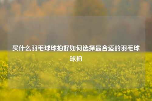 买什么羽毛球球拍好如何选择最合适的羽毛球球拍
