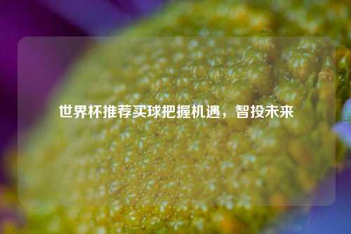 世界杯推荐买球把握机遇，智投未来