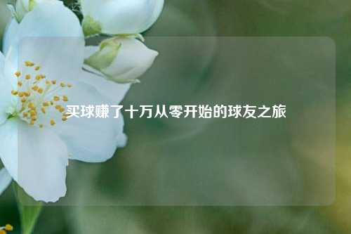 买球赚了十万从零开始的球友之旅