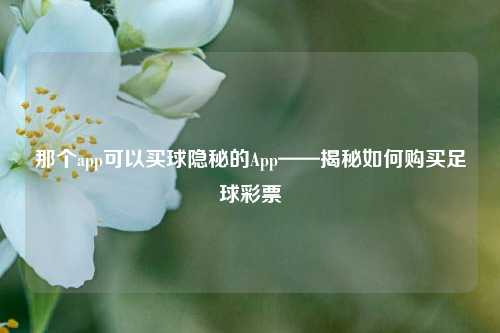那个app可以买球隐秘的App——揭秘如何购买足球彩票
