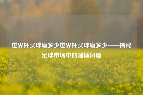 世界杯买球赢多少世界杯买球赢多少——揭秘足球市场中的赌博风险