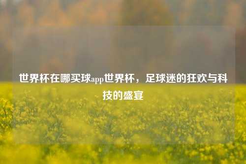 世界杯在哪买球app世界杯，足球迷的狂欢与科技的盛宴