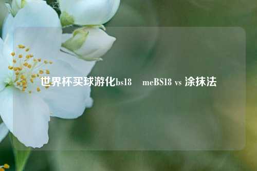 世界杯买球游化bs18婰meBS18 vs 涂抹法