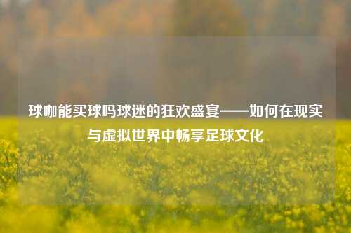 球咖能买球吗球迷的狂欢盛宴——如何在现实与虚拟世界中畅享足球文化