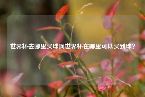 世界杯去哪里买球啊世界杯在哪里可以买到球？