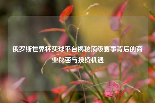 俄罗斯世界杯买球平台揭秘顶级赛事背后的商业秘密与投资机遇