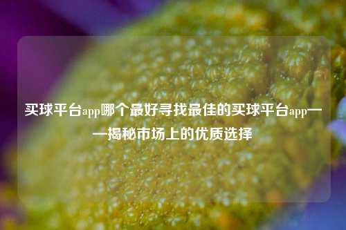 买球平台app哪个最好寻找最佳的买球平台app——揭秘市场上的优质选择