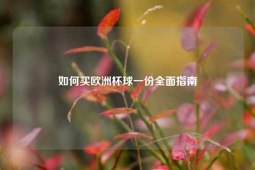 如何买欧洲杯球一份全面指南